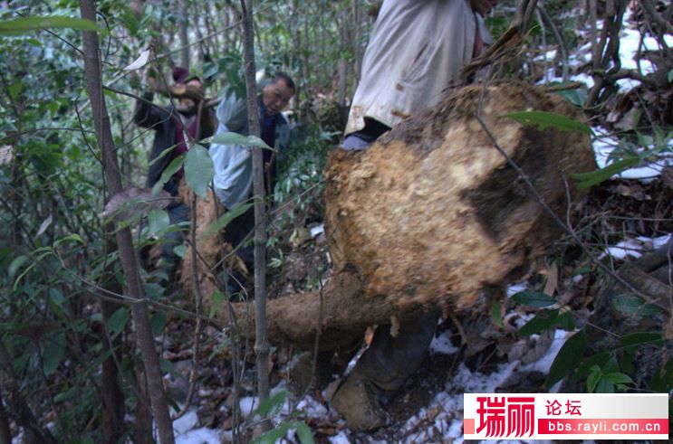 PG电子游戏官网